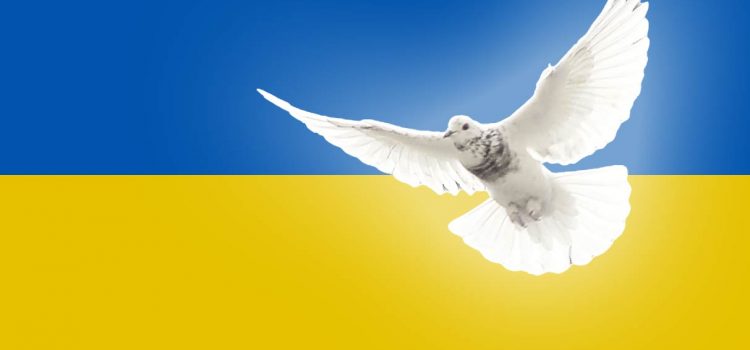 Friedenstaube vor ukrainischer Fahne